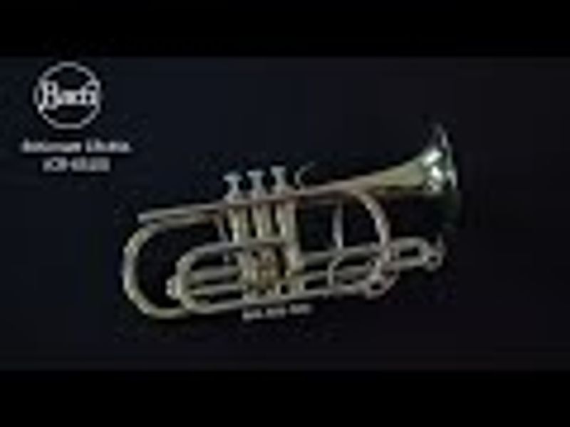 Bach Bb-kornett CR651