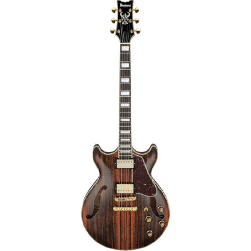 Ibanez AM93ME-NT. El-Gitar