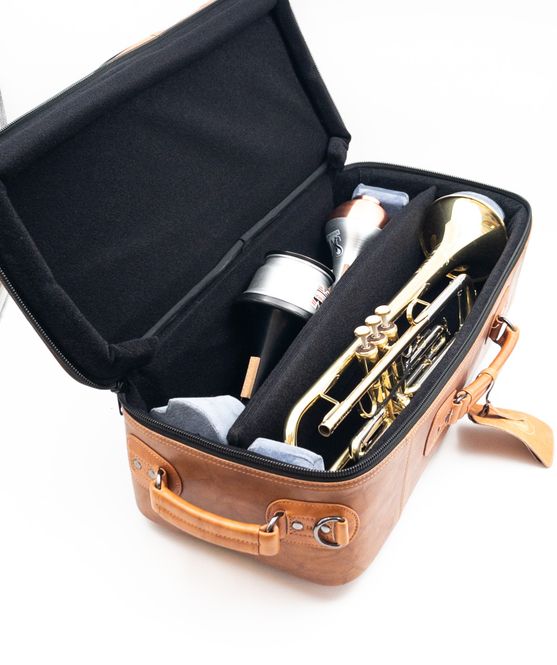 Hovedbilde Gigbag Gard Trompet Dobbel 4-ECLN-LT Elite brunt ...